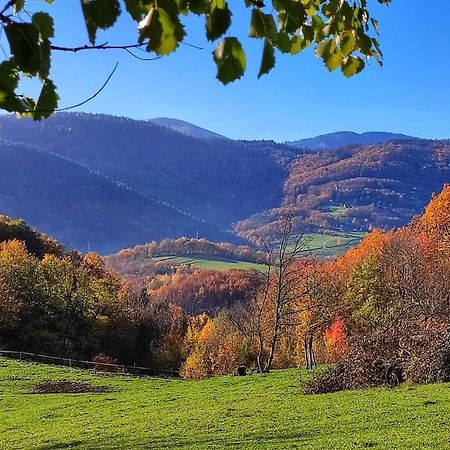 Gite A La Source Breitenbach Екстер'єр фото