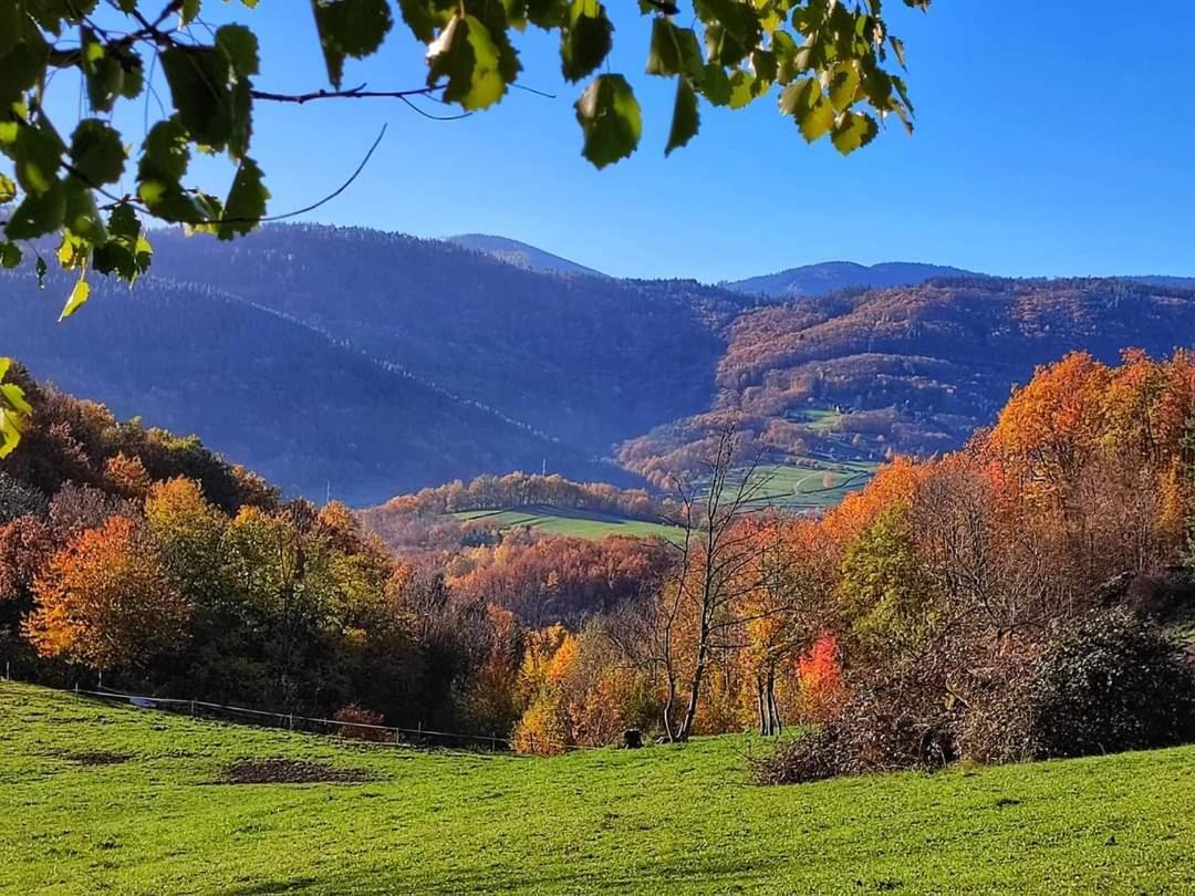 Gite A La Source Breitenbach Екстер'єр фото